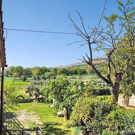 אסיסי B&B Torrematta מראה חיצוני תמונה