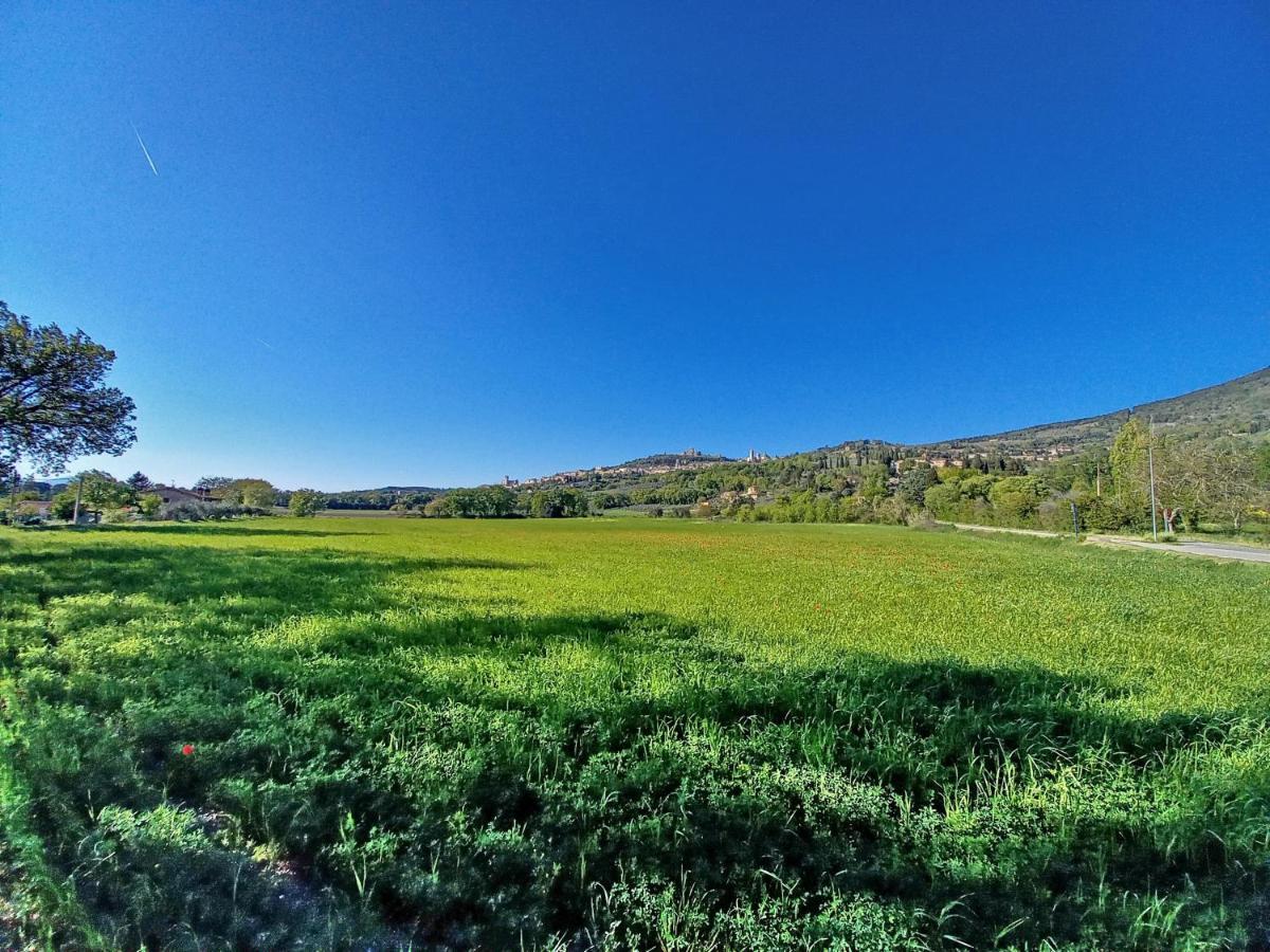 אסיסי B&B Torrematta מראה חיצוני תמונה