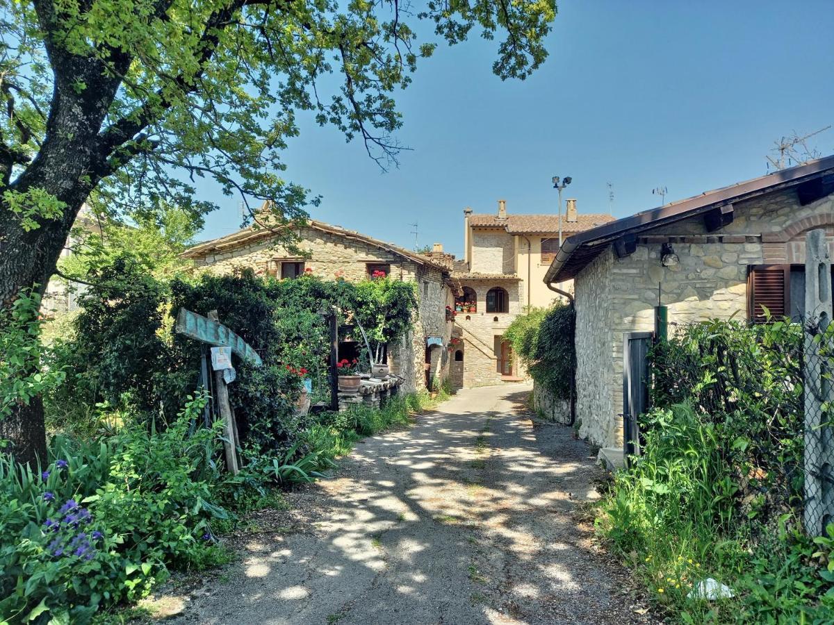 אסיסי B&B Torrematta מראה חיצוני תמונה