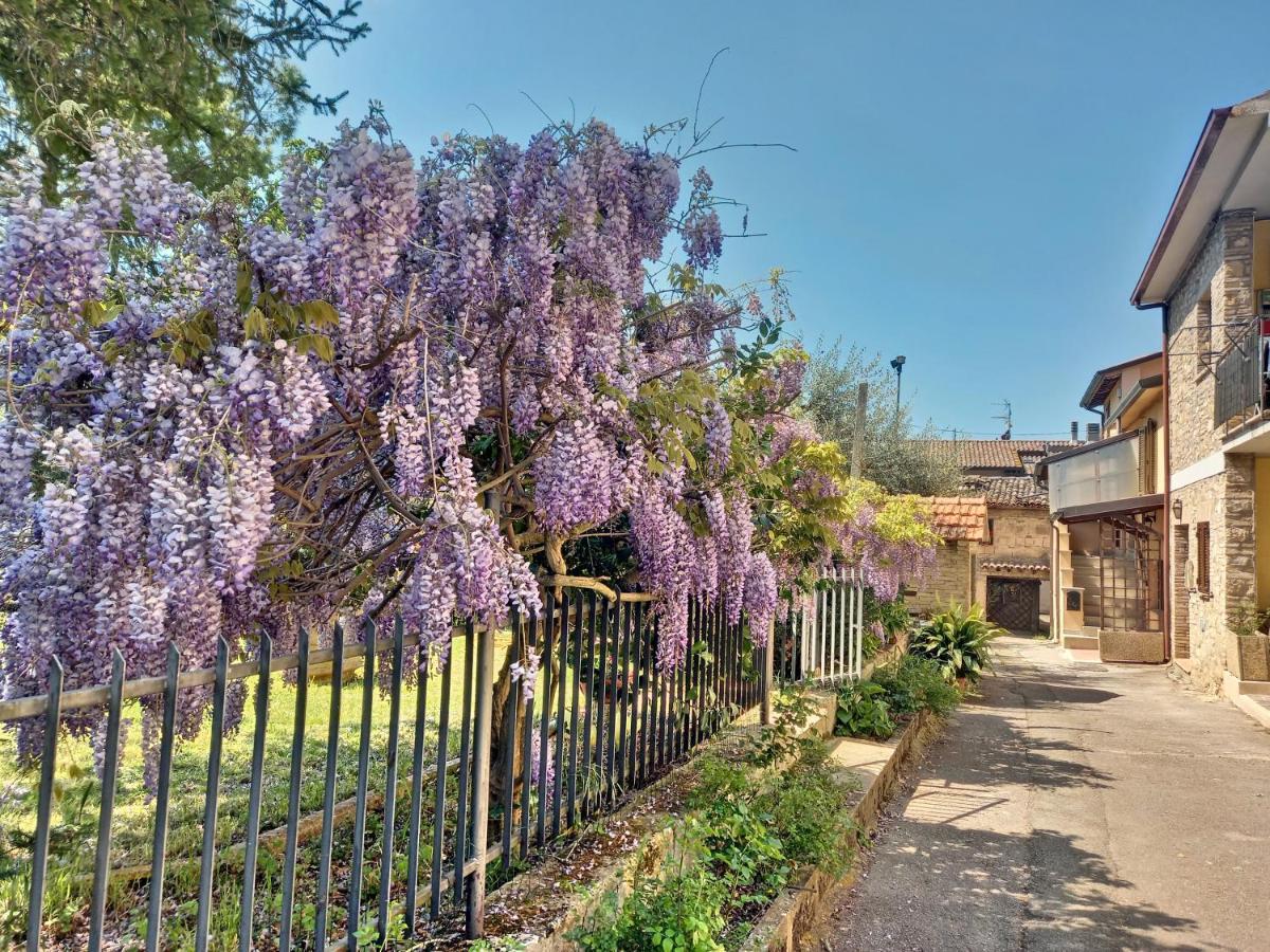 אסיסי B&B Torrematta מראה חיצוני תמונה