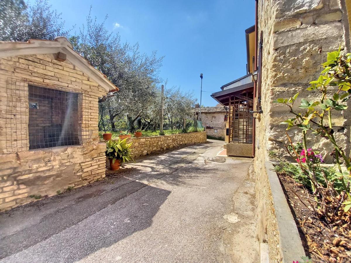 אסיסי B&B Torrematta מראה חיצוני תמונה