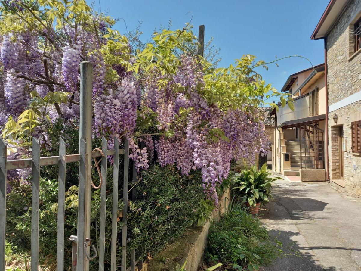 אסיסי B&B Torrematta מראה חיצוני תמונה