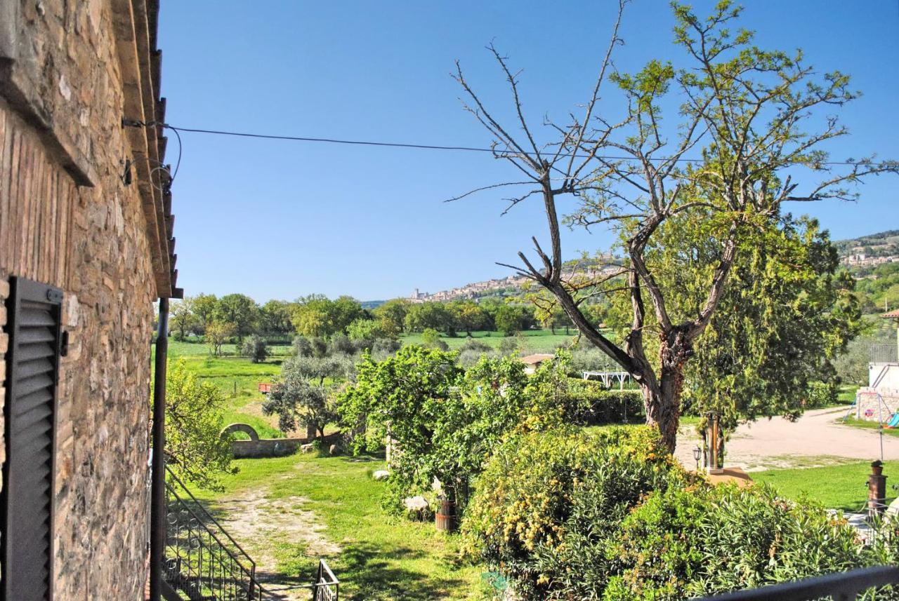 אסיסי B&B Torrematta מראה חיצוני תמונה