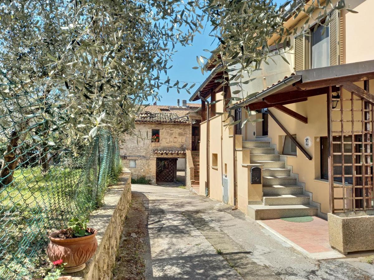 אסיסי B&B Torrematta מראה חיצוני תמונה